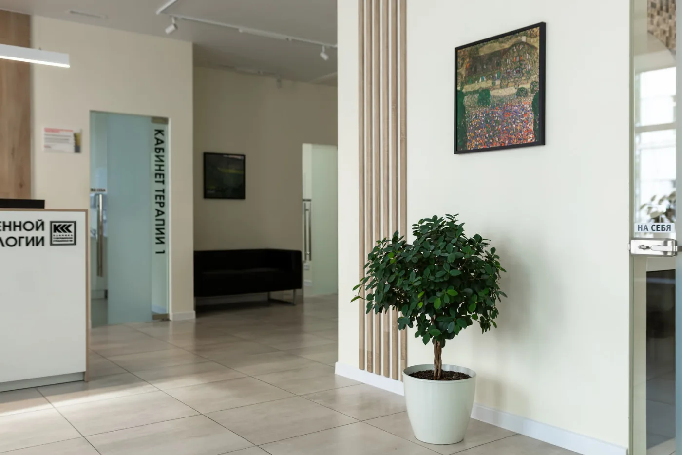 Интерьер Клиники Современной Стоматологии